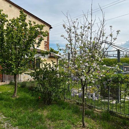 Green House Accommodation Cascina Extérieur photo