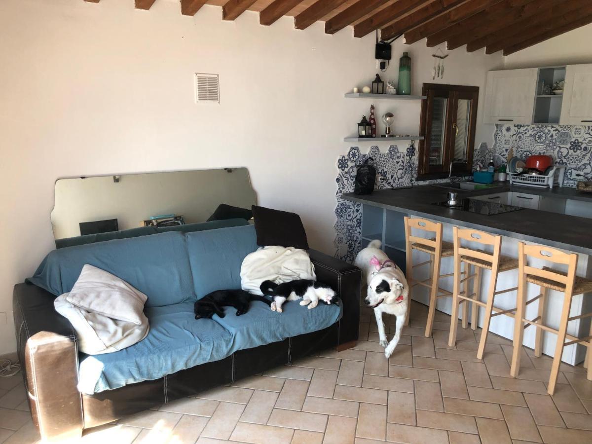 Green House Accommodation Cascina Extérieur photo