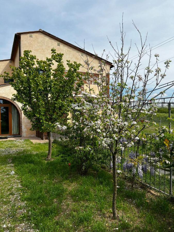 Green House Accommodation Cascina Extérieur photo