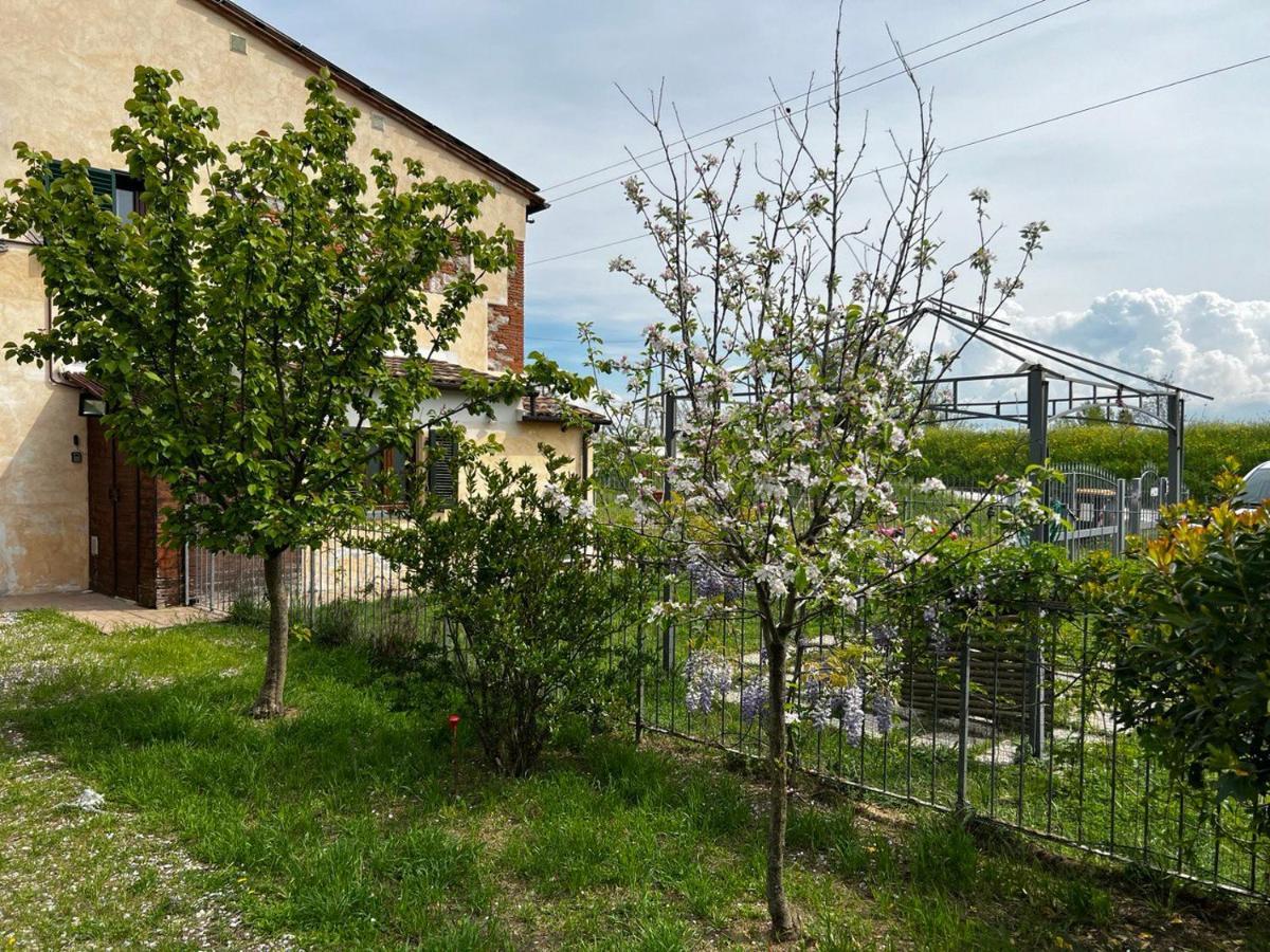 Green House Accommodation Cascina Extérieur photo